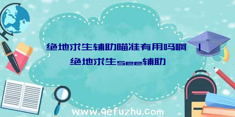 「绝地求生辅助瞄准有用吗啊」|绝地求生see辅助